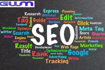 SEO Packages Florida